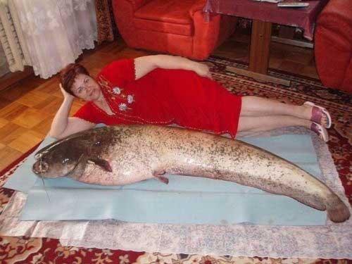 Dating siti Web triste