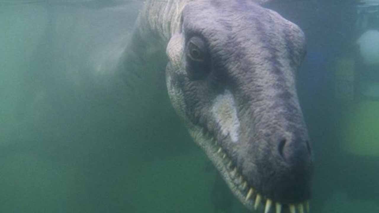 La storia del mostro di Loch Ness La storia del mostro di Loch Ness