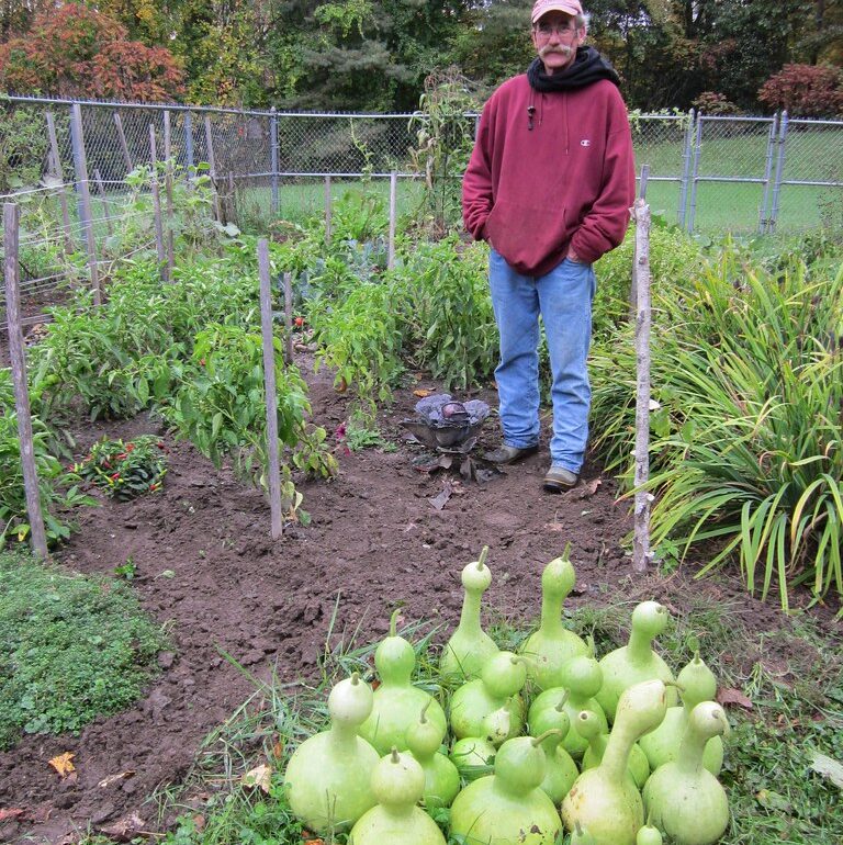 Giardiniere si prende cura di piante e ortaggi in giardino