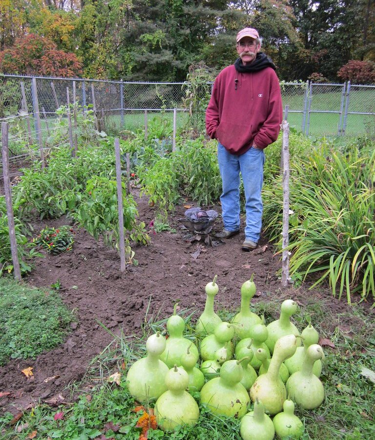 Giardiniere si prende cura di piante e ortaggi in giardino