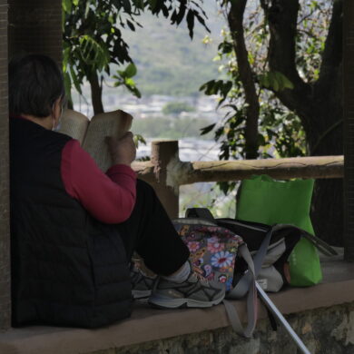 Ritratto di Annamaria Farricelli, autrice di In un soffio d’amore